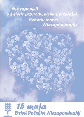 15 maja Dzień Polskiej Niezapominajki nie zapomnij